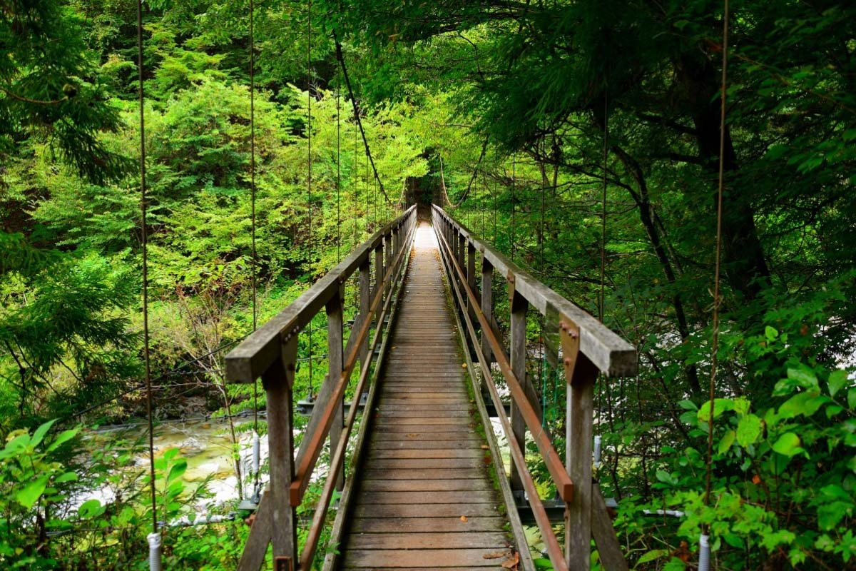 🏞️ 오지라가와 계곡 이미지 5